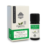 Aroma Tierra Organic Black Spruce Essential Oil (Canada) 10ml